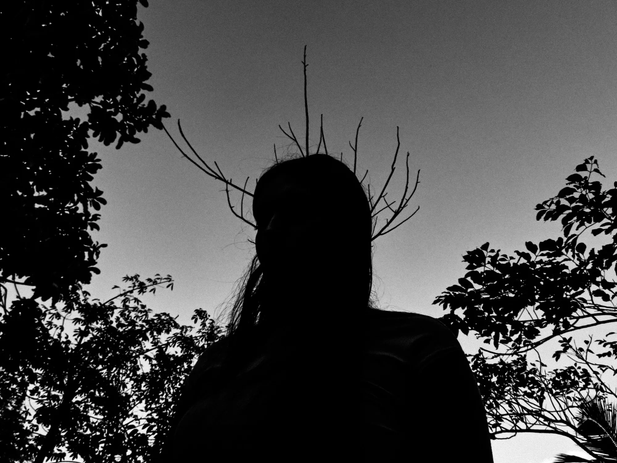 Silhouette with bare branches growing from her head against a dusky sky