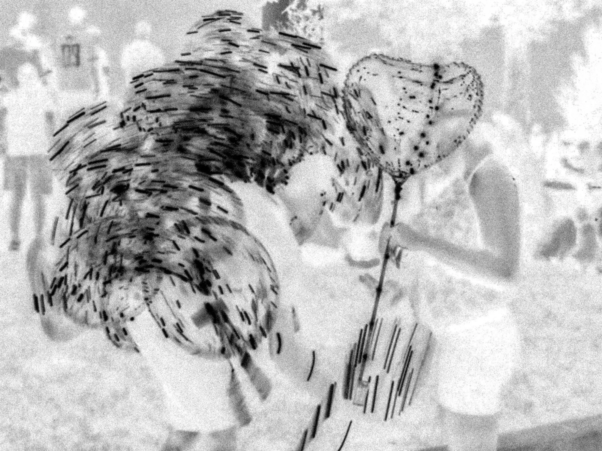 Two people embracing under enormous feather wings, grainy and washed out